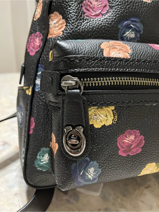 RARE Coach Campus Backpack 23 With Rainbow Rose Print NWT main image 8